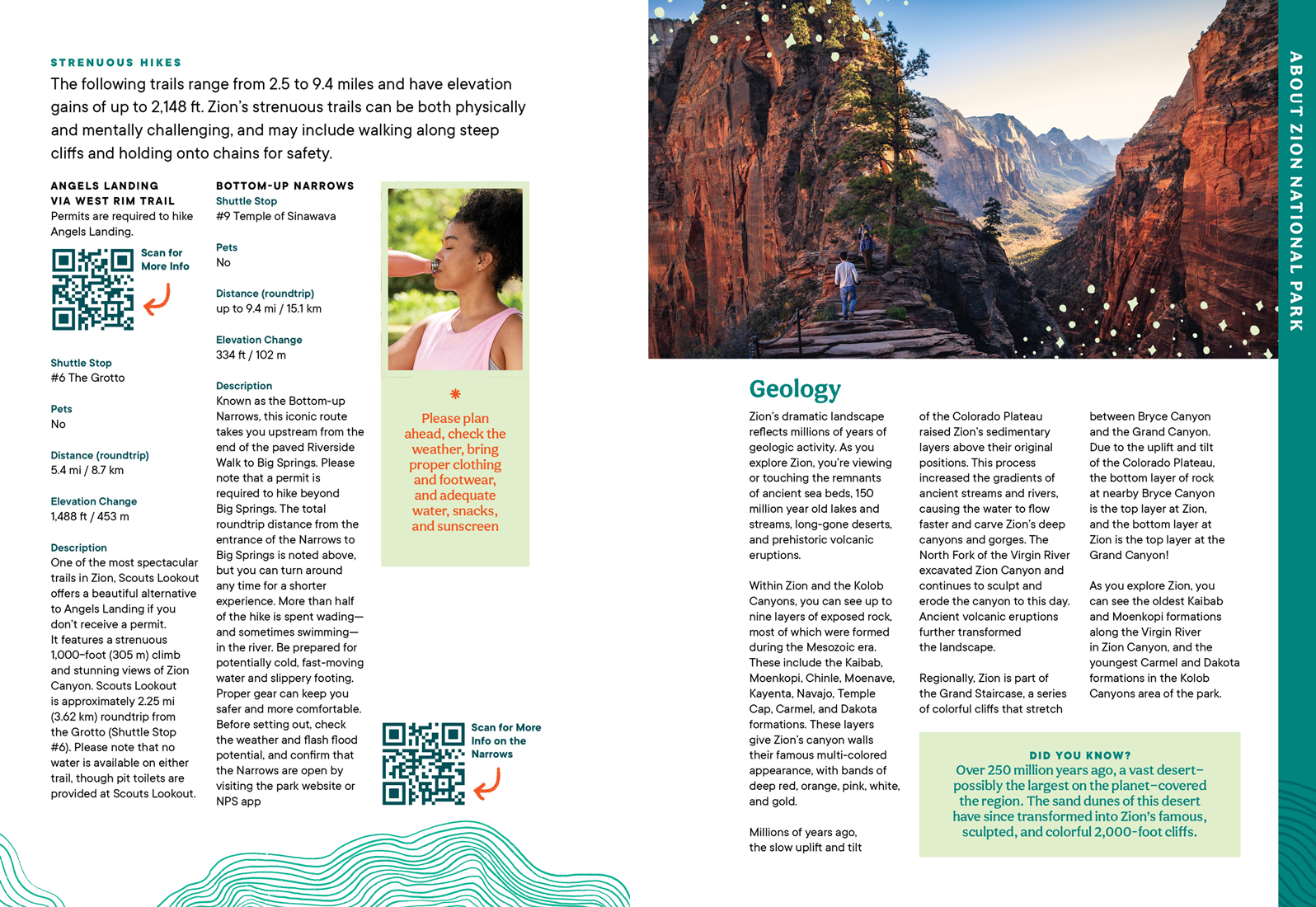 Zion National Park Lodge Room Guide by Megan Hillman Donovan
