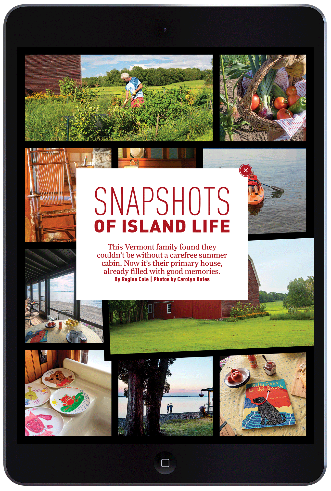 Snapshots of Island Life by Megan Hillman
