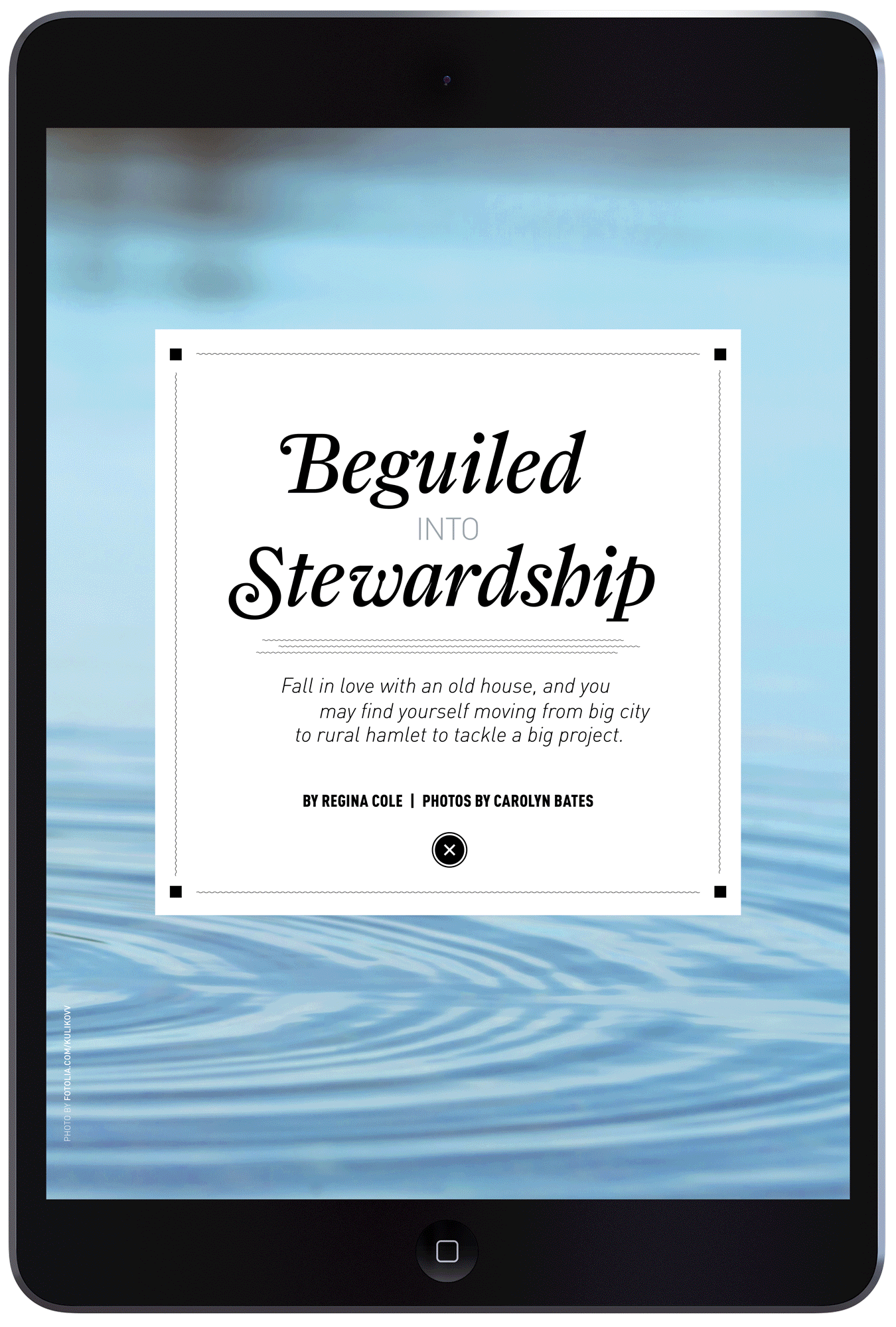 Beguiled into Stewardship by Megan Hillman 