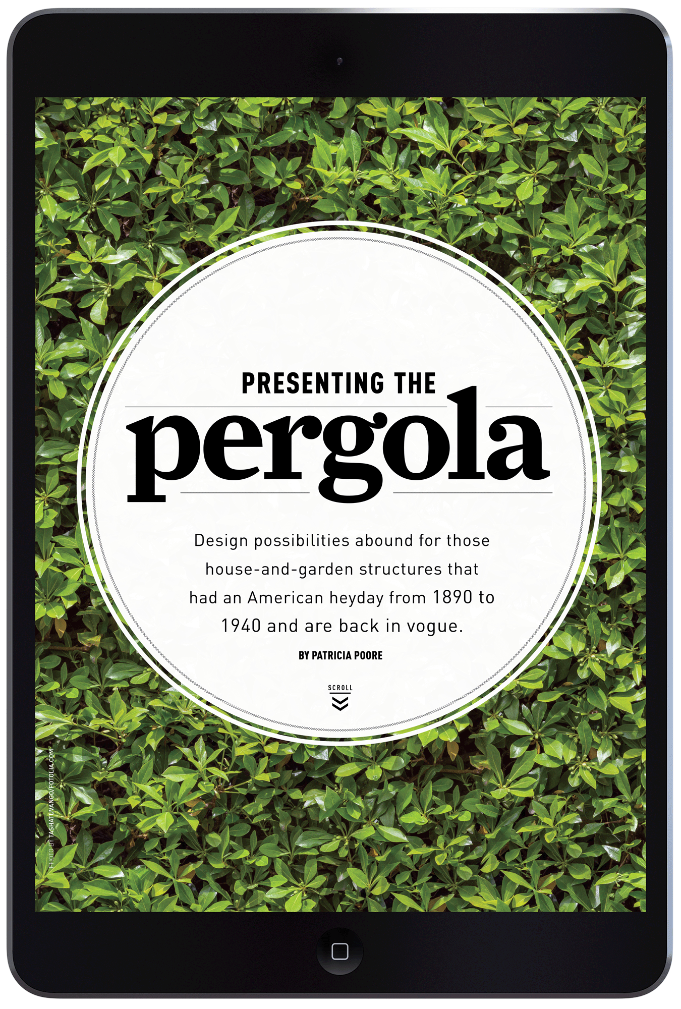 Presenting the Pergola by Megan Hillman
