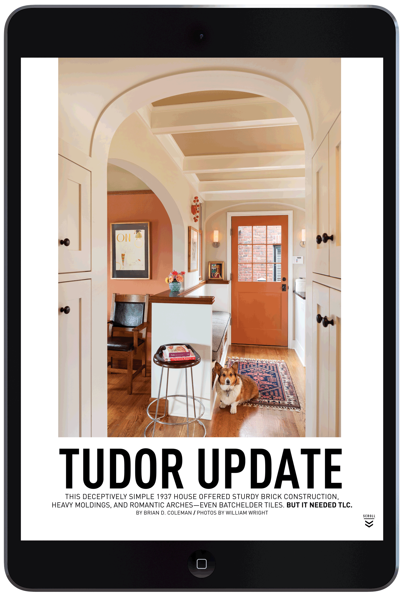 Tudor Update by Megan Hillman